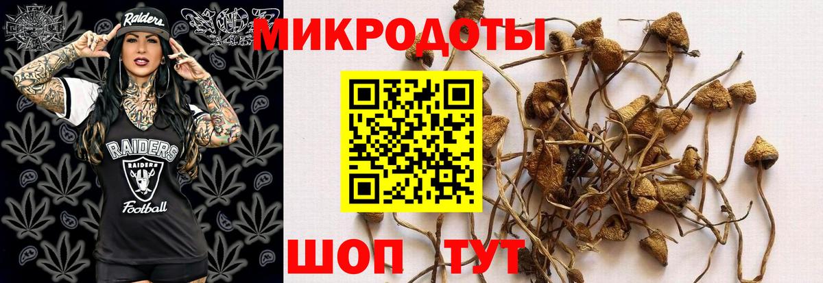 Рассказово  сколько стоит  Псилоцибиновые грибы Psilocybine cubensis  Вход с VPN  Галлюциногенные грибы ЛСД 