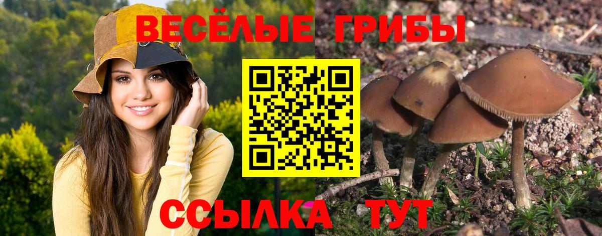 Псилоцибиновые грибы прущие грибы Рассказово